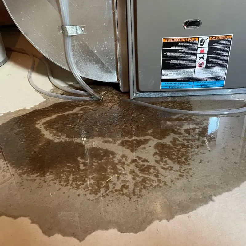 Pipe Burst and Leak Restoration in Garnet, CA