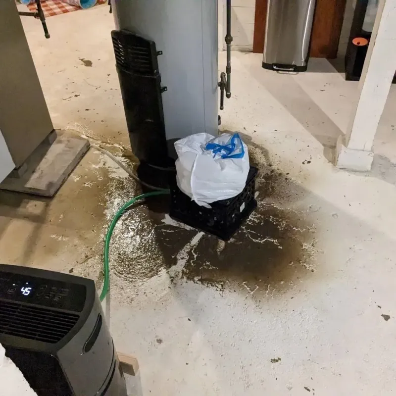 Sewage Backup Cleanup Service in Garnet, CA